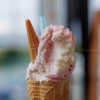 小田原牧場アイス工房_0