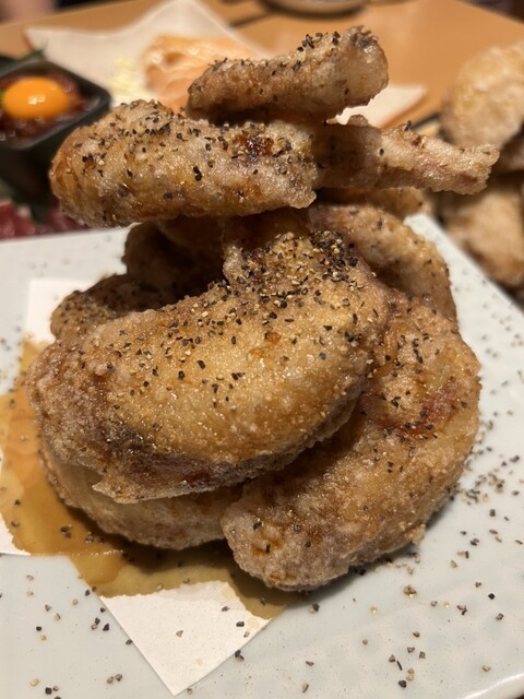 Sakae no Chushin de Tebasaki o Sakebu Sakateba photo 5