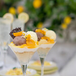 HAUTE COUTURE CAFE OMOTESANDO - Citrus and Rich Chocolate Parfait