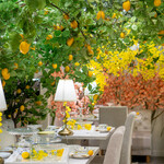 HAUTE COUTURE CAFE OMOTESANDO - Interior