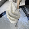 FORTUNE ICE CREAM - 