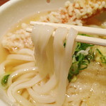 讃岐うどん 今雪 - 麺、持ち上げ〜。温かいうどんは、しなやかな柔麺。