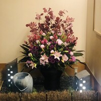 日本料理　花木鳥 - 