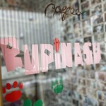 Rupinasu - 