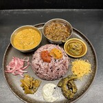 Curry Spice Gelateria KALPASI - 