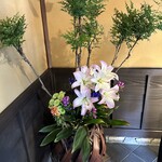 葉山 日影茶屋 - 