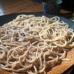 そば切 雨耕庵 - こちら普通盛りです