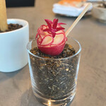 セリュー - アミューズ