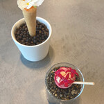 セリュー - アミューズ