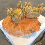 セリュー - アミューズ