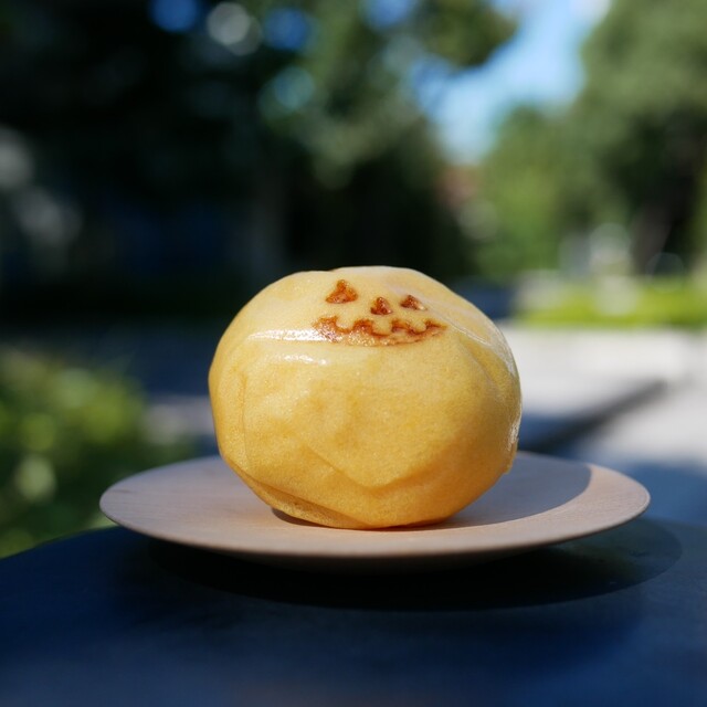 Yondai Kashin photo 4