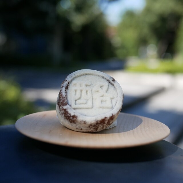 Yondai Kashin photo 3