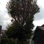 古民家 やまから - 