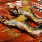 菊乃井 - 泳いでますね～～