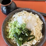 Teuchi Udon Tajima - おろしぶっかけ