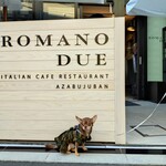 Italian cafe restaurant ROMANO DUE - 