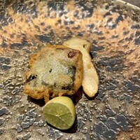 TOSAGE - 
