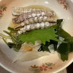 だるま寿し 広島駅前本店 - 