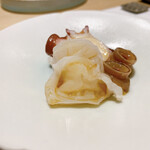 鮨処 有馬 - 水タコ　刺身・煮