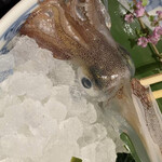 博多もつ鍋 前田屋 - 