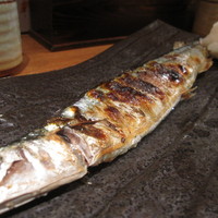 魚匠 銀平 道頓堀店 - 秋刀魚の塩焼き