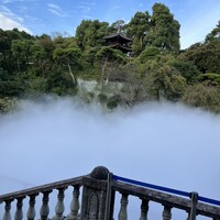 日本料理 みゆき - 