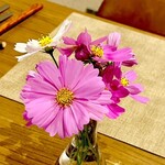 221090314 - テーブルの上の秋桜　シェフの育てる畑から　byまみこまみこ