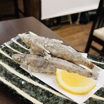 旬菜ダイニング 新 - 