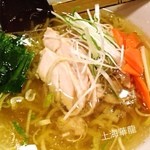 Shanhai Karyuu - とりネギラーメン！