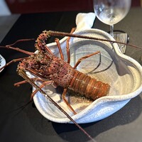 日本料理 TOBIUME - ☆何と、ナント、ここで素晴らしい「シークレットゲスト」が登場されました。まだご存命です。 立派な「伊勢海老」様。 .｡. o(≧▽≦)o .｡.:*☆