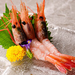 sweet shrimp sashimi