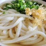 手打ちうどん 上田 - かけ(小)