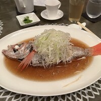 ＳＩＬＩＮ 火龍園 - 