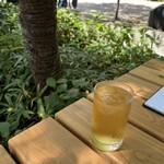 Sekirei Bashi Kawakami An