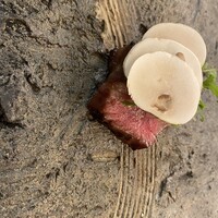 肉和食 月火水木金土日 - 