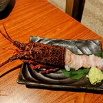 完全個室居酒屋 串ばってん - 伊勢海老お造り