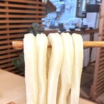 Toyooka Sakusaku Udon - 