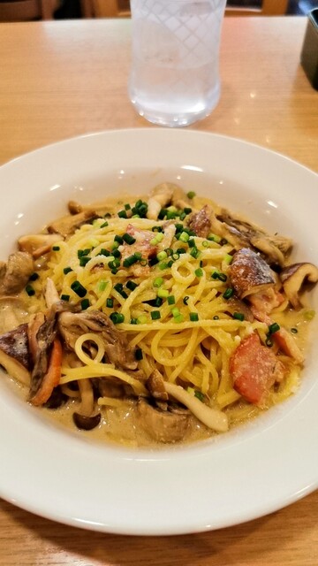 Popolamama Hoya Ten photo 5