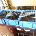 喫茶 めだかの楽校 - 