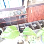 喫茶 めだかの楽校 - 