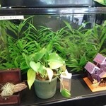 喫茶 めだかの楽校 - 