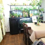 喫茶 めだかの楽校 - 