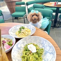 Osteria IL VIAGGIO - 