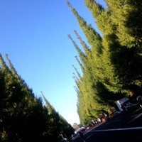 キハチ 青山本店 - 