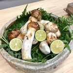 柚木元 - 信州の朝採れ松茸