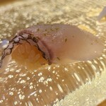 sushi処まんま天王寺 & HANARE - 