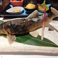 柳家錦 - 