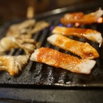 ホルモンバル惑星みかん - せんまいうるて焼くべし焼くべし‼︎