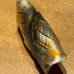 寿し おおはた - 