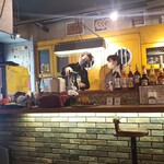 海鮮 イタリアンバル ルチアーノ - 我々のスパークリングワインでしょう〰️‼️